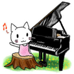 White Cat Yuzu chan`s Piano