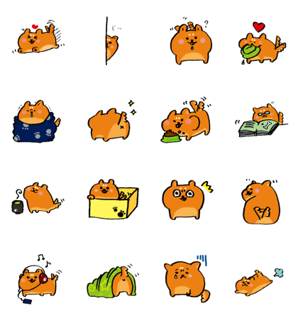 SHIBA yururuyu life
