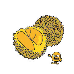 榴槤水果