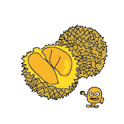 Durian fruit
