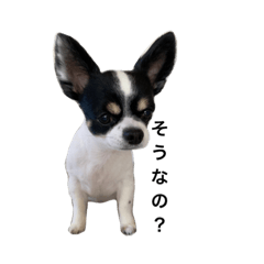 yurina_20201210130931