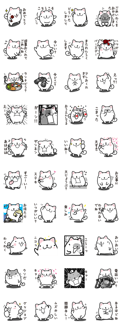 Wide-set eyes dog 2