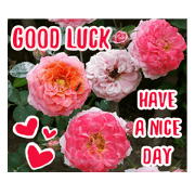 For u my lovely