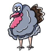 Cool Turkey 1st