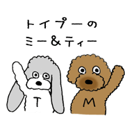 Toy Poodle's Me & T