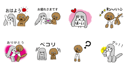 Toy Poodle's Me & T