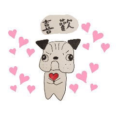 tsundere sensei pug