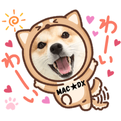 MacDX_Shiba