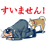 Dog odor