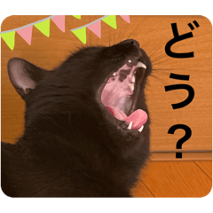 Sally_20201210155349