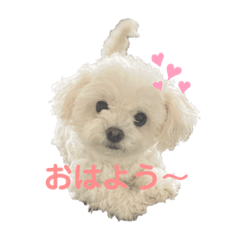 Tono_20201210161913