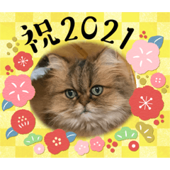 Mimi_20201210192055