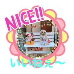 yukari_20201210193542