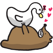 Duck & Bear