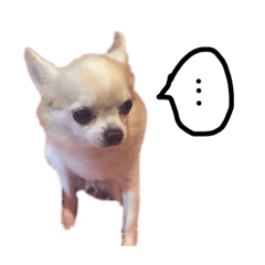 haruna_20201210215113