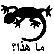 (Arabic)Silhouette Quiz 5