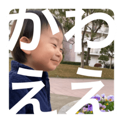 Hikari_20201210232103