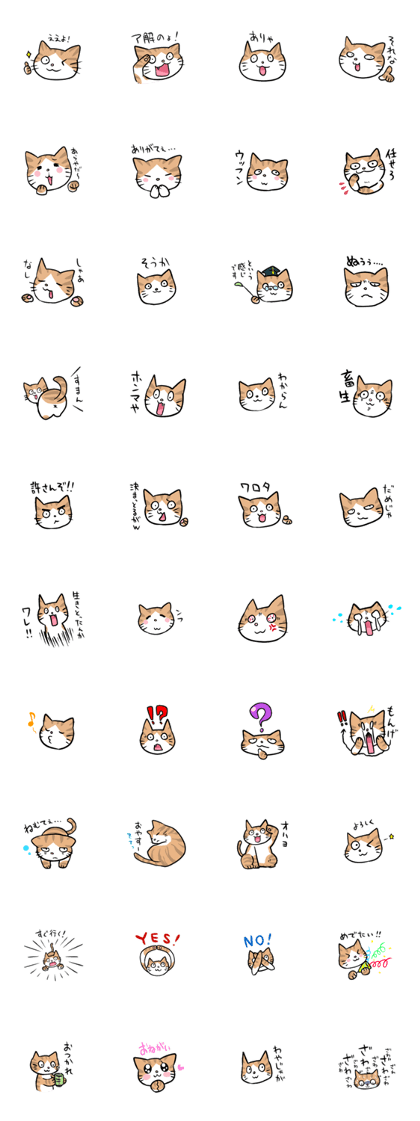 CHAKICHI