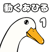 It moves! Duck sticker