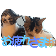 akiko_20201210202040