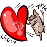 Interesting cat sticker