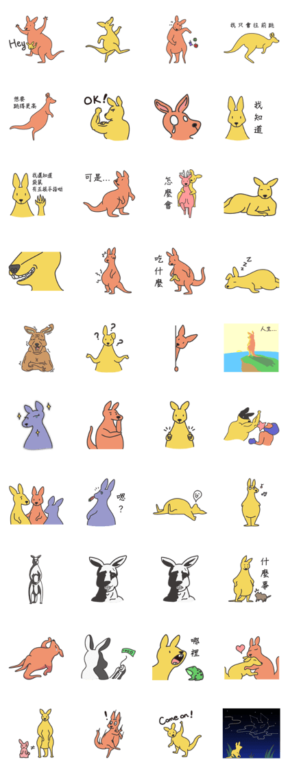 kangaroo and family