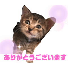 akiko_20201211002300