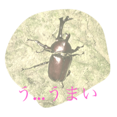 jk_20201211081231