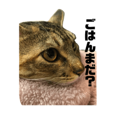 akiko_20201211090710