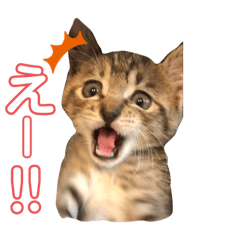 akiko_20201211085115