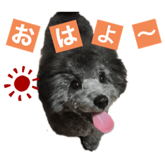 MIZUKI_20201211103612