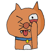 Not Bad Cat