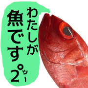 I'm a Fish!! Ver. Two