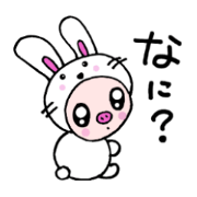 A cute piglet
