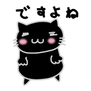 Warm black cat