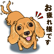 A sticker willingly. Dachshund (Cream)