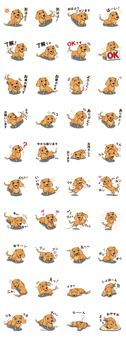 A sticker willingly. Dachshund (Cream)