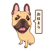 french bulldog mini 01