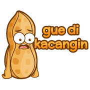 kacang boy