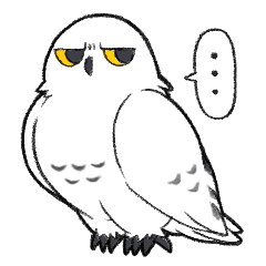Grumpy snowy owl and his friends