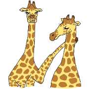Giraffe Panay2