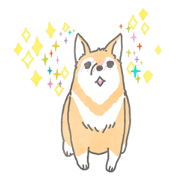 Everyone's puppy