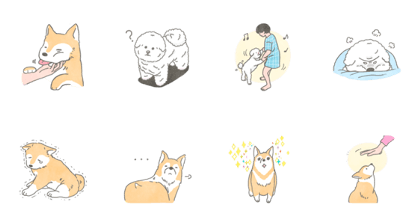 Everyone's puppy