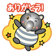 tapir boy