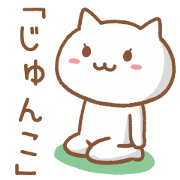 Cat for JUNKO