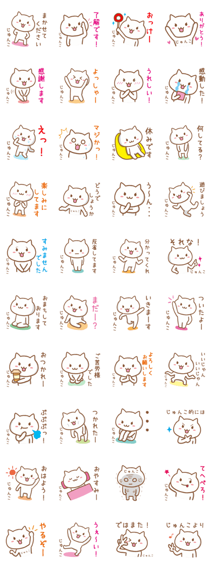 Cat for JUNKO