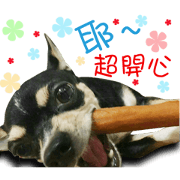 Li Bo