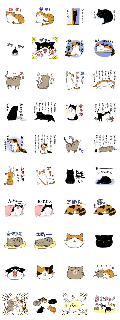 5neko