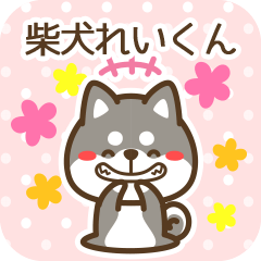 Reikun became Black Shiba