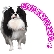 HAsama' Sticker